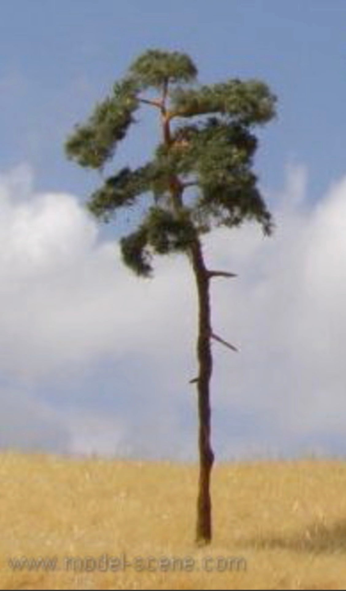 Model Scene BR100 Pine-Tree 80-110mm