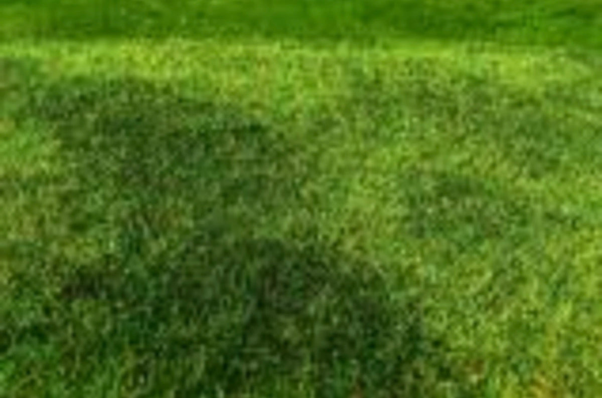 Model Scene F002 Cut Meadow - Early Summer Grass Mat