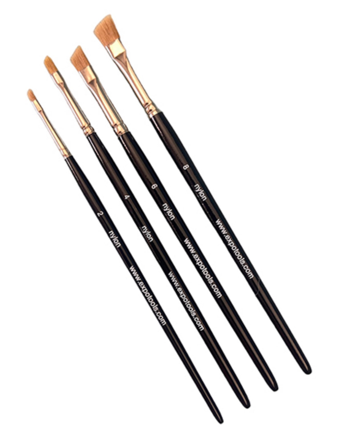 EXPO 45300 Special Dry Brush Set of 4