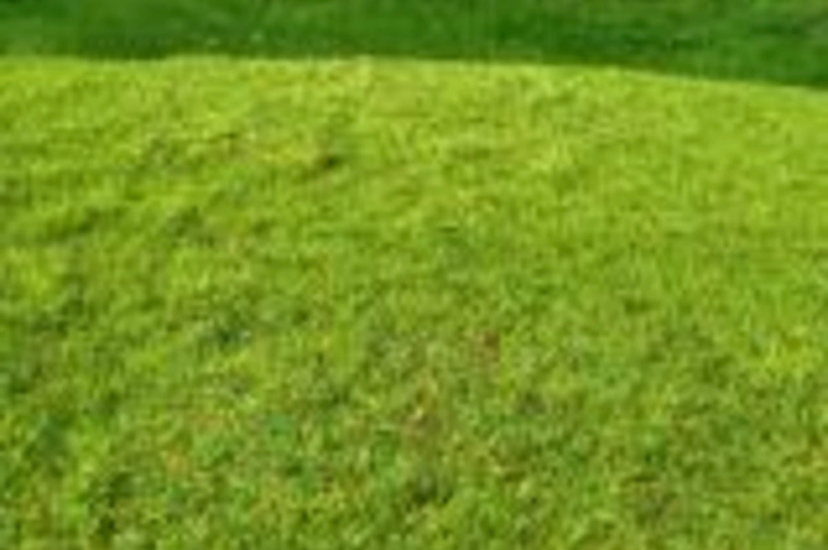 Model Scene F001 Cut Meadow - Spring Grass Mat