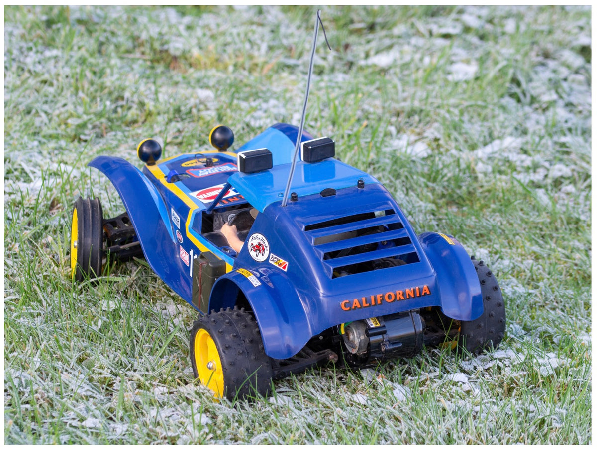 Tamiya 58470 RC Holiday Buggy 2010