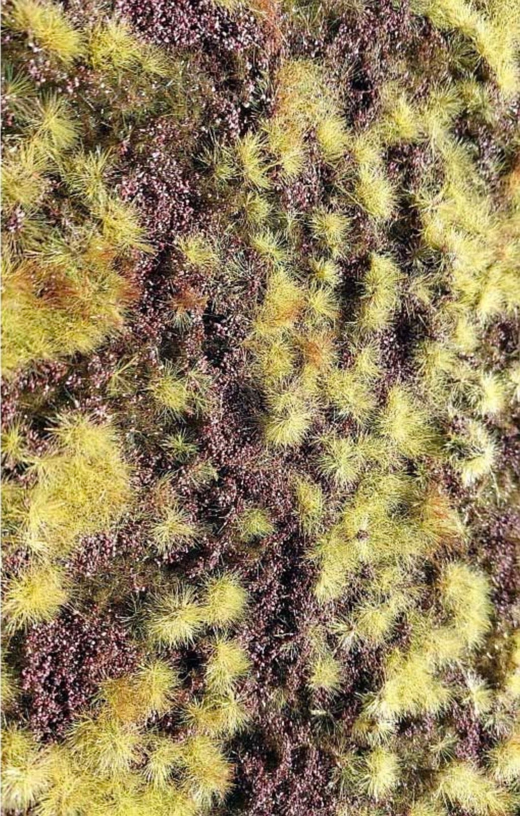 Model Scene F640 Dry Heathland Grass Mat