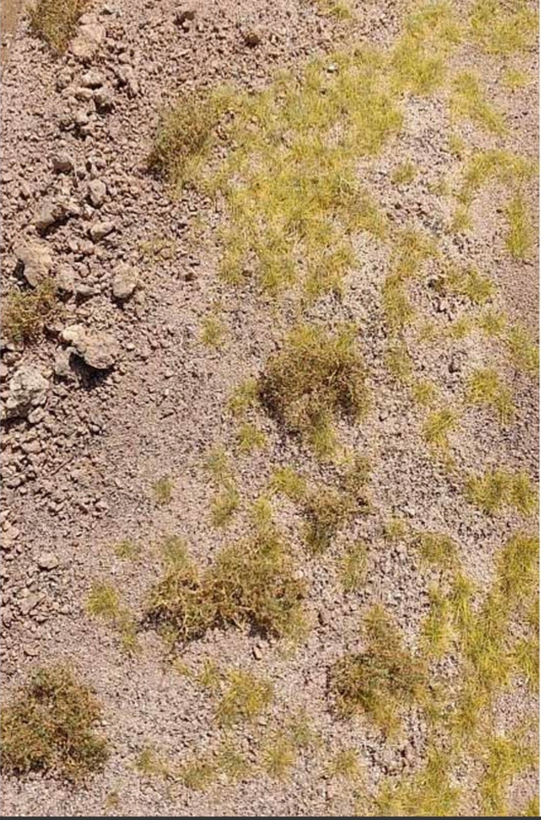 Model Scene F310 North Africa Rocky Terrain Grass Mat