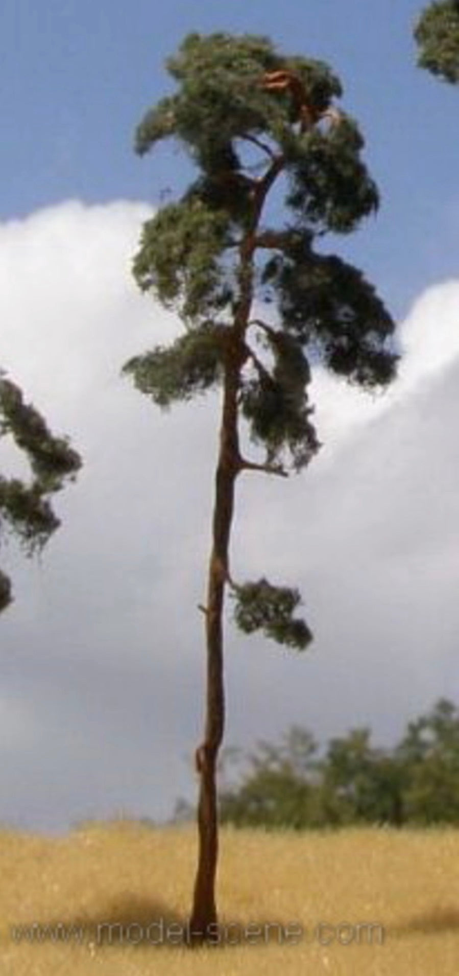 Model Scene BR150 Pine-Tree 130-170mm