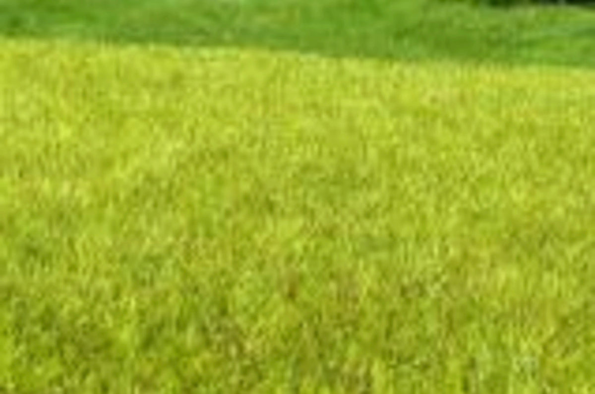 Model Scene F010 Wetland Light Grass Mat