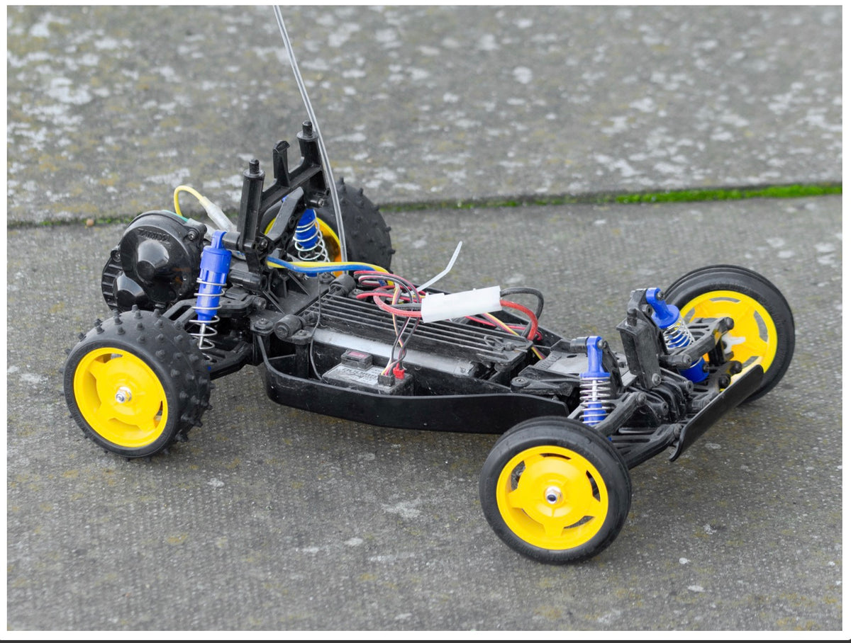 Tamiya 58470 RC Holiday Buggy 2010