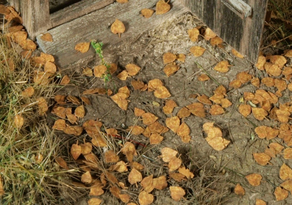 Model Scene L3-103 Linden Leaves - Extra Colours, Autumn